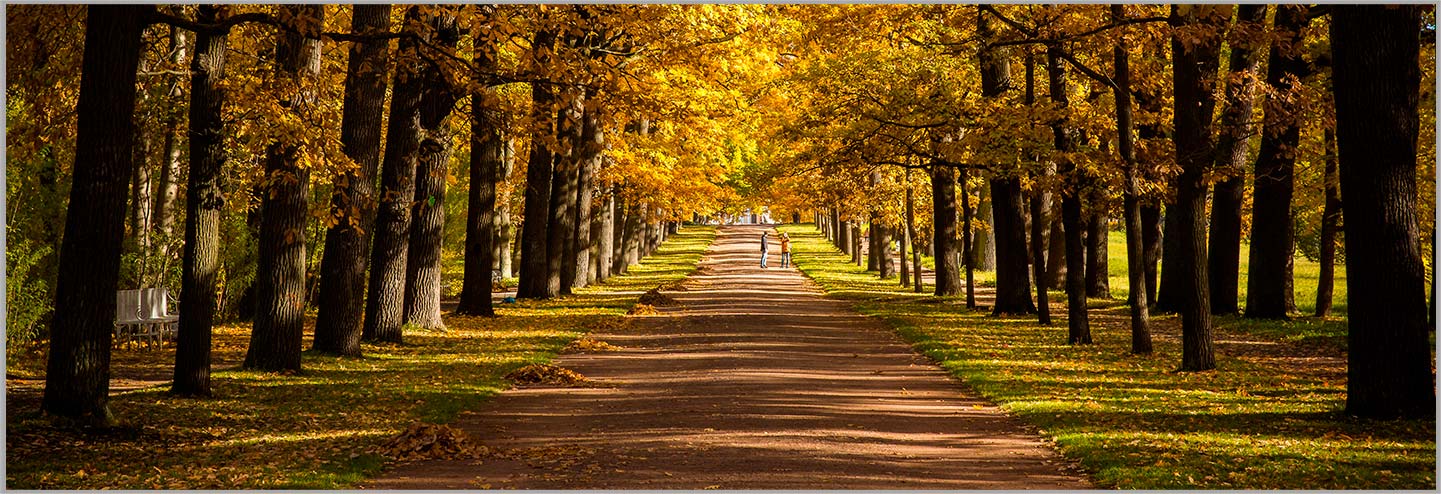 닝보 AOSHENG 기계 CO., LTD.